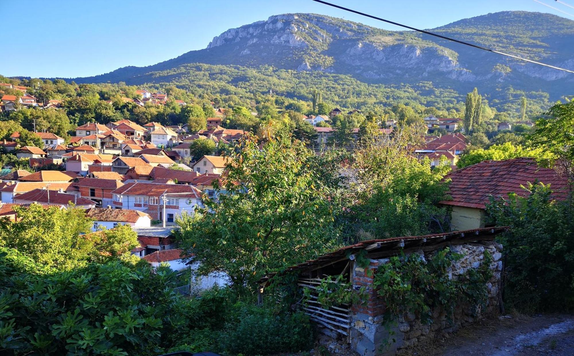 Konak -Guest House -Ramonda Serbika Ni Extérieur photo